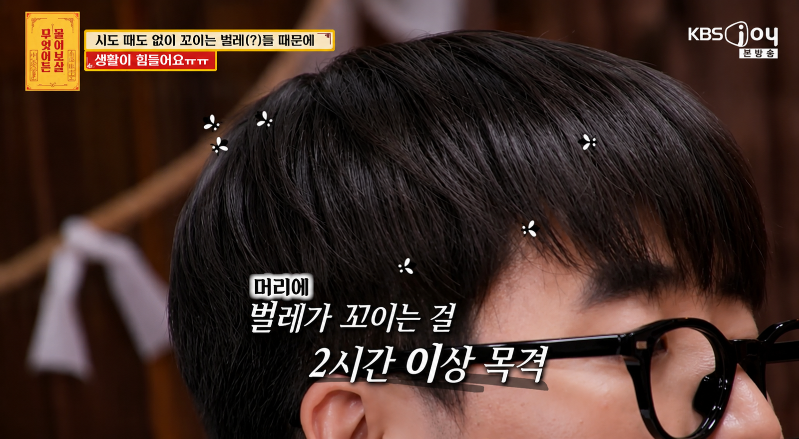 10년째 머리 주변으로만 벌레가 몰린다는 29세 취업준비생의 사연이 공개됐다.  KBS Joy ‘무엇이든 물어보살’ 화면