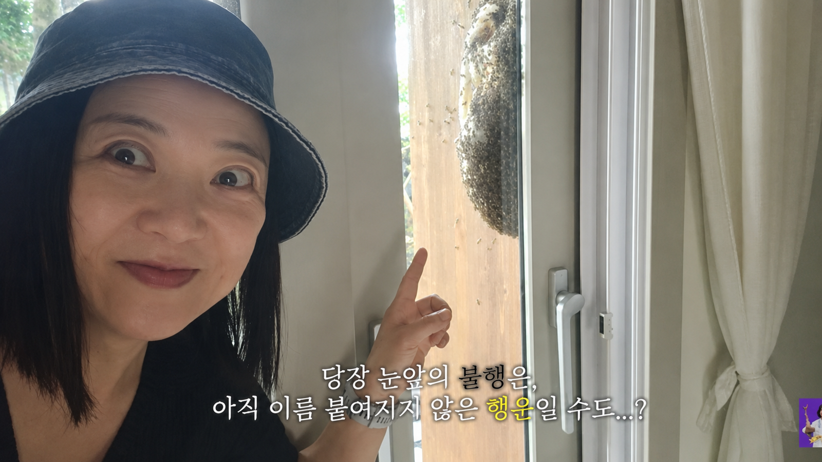 김숙이 제주 세컨드하우스에서 초대형 토종벌집을 발견해 119에 긴급 신고했다. 유튜브 ‘김숙티비’ 화면