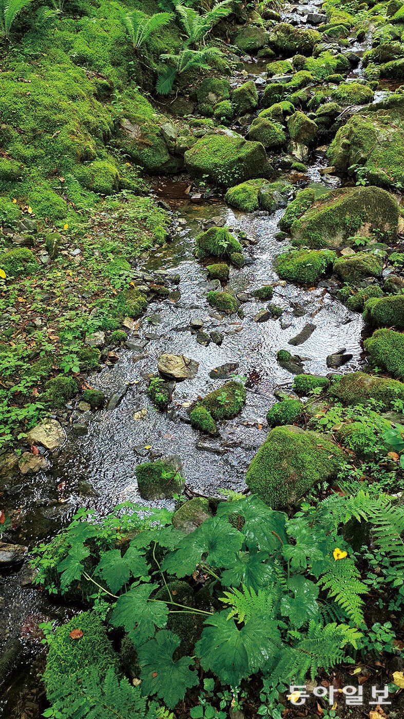 수생식물원