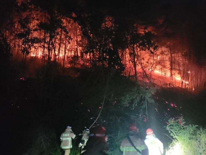 창녕 대나무밭 화재로 60대 숨져…쓰레기 태우다 불낸 듯