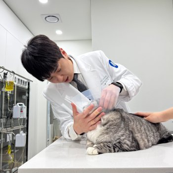 평촌 넬동물의료센터 내과 윤일용 대표원장