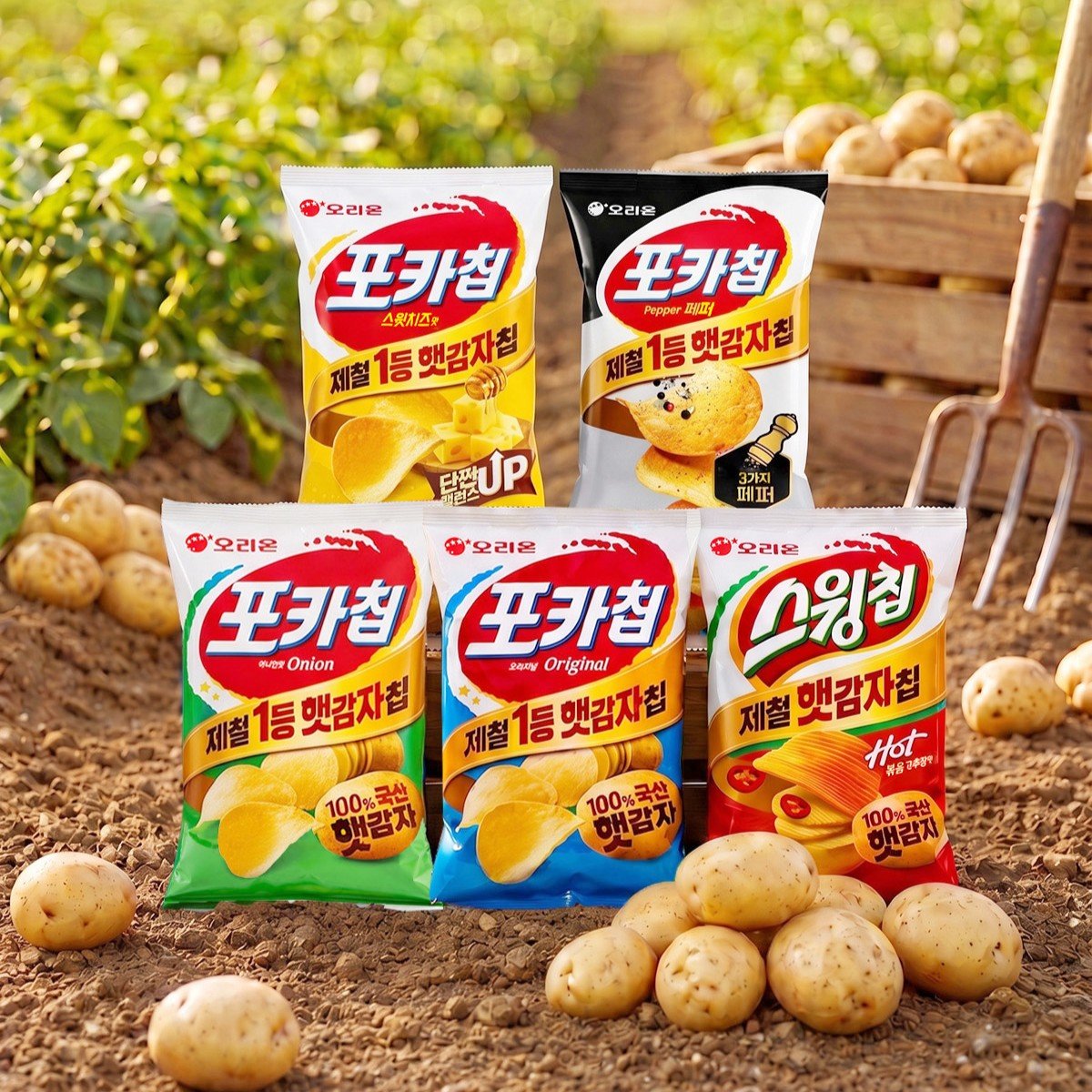 “매년 여름에만 만날 수 있어”… 제철 햇감자 포카칩-스윙칩