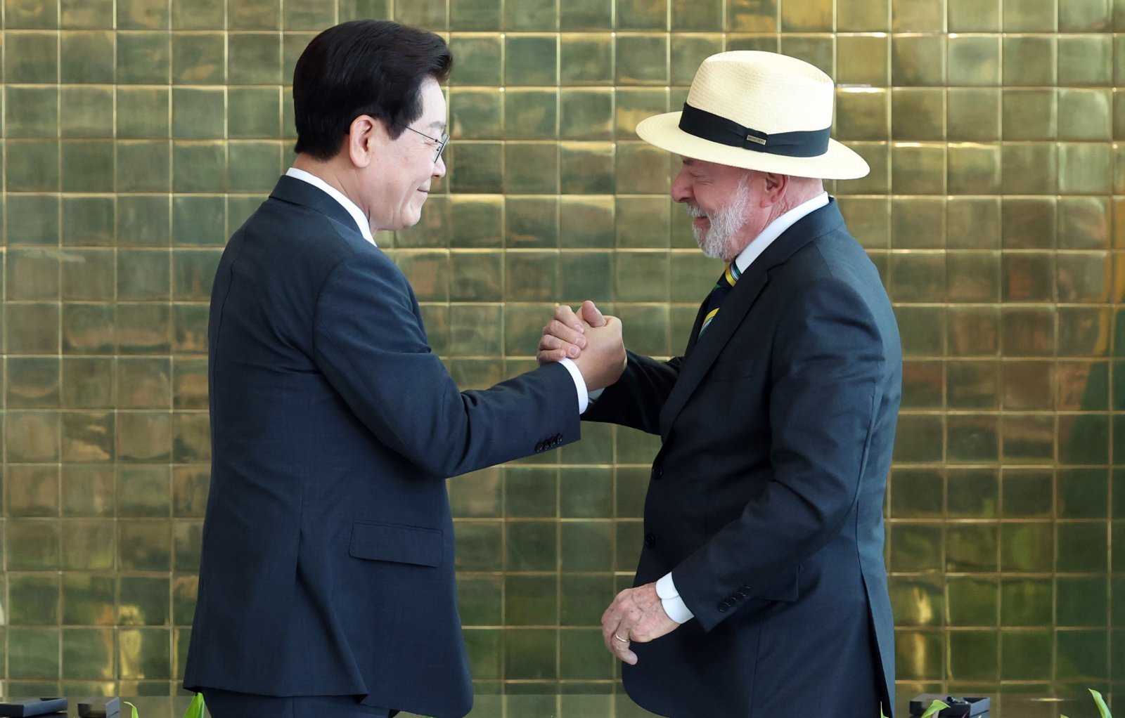 South Korea, Brazil Agree on Rare Earths Cooperation, Meat Imports
