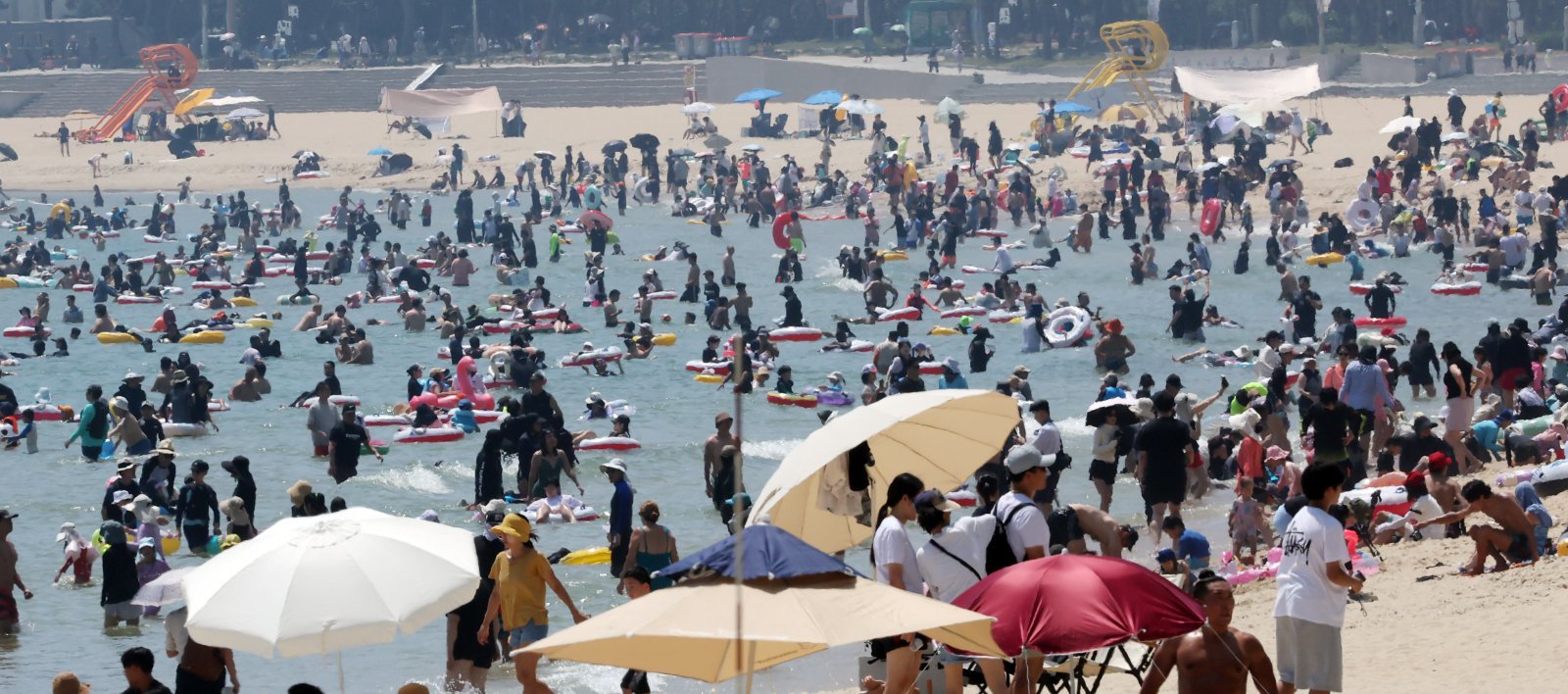 Haeundae cafe's 'bikini customer' ban: Etiquette or discrimination?