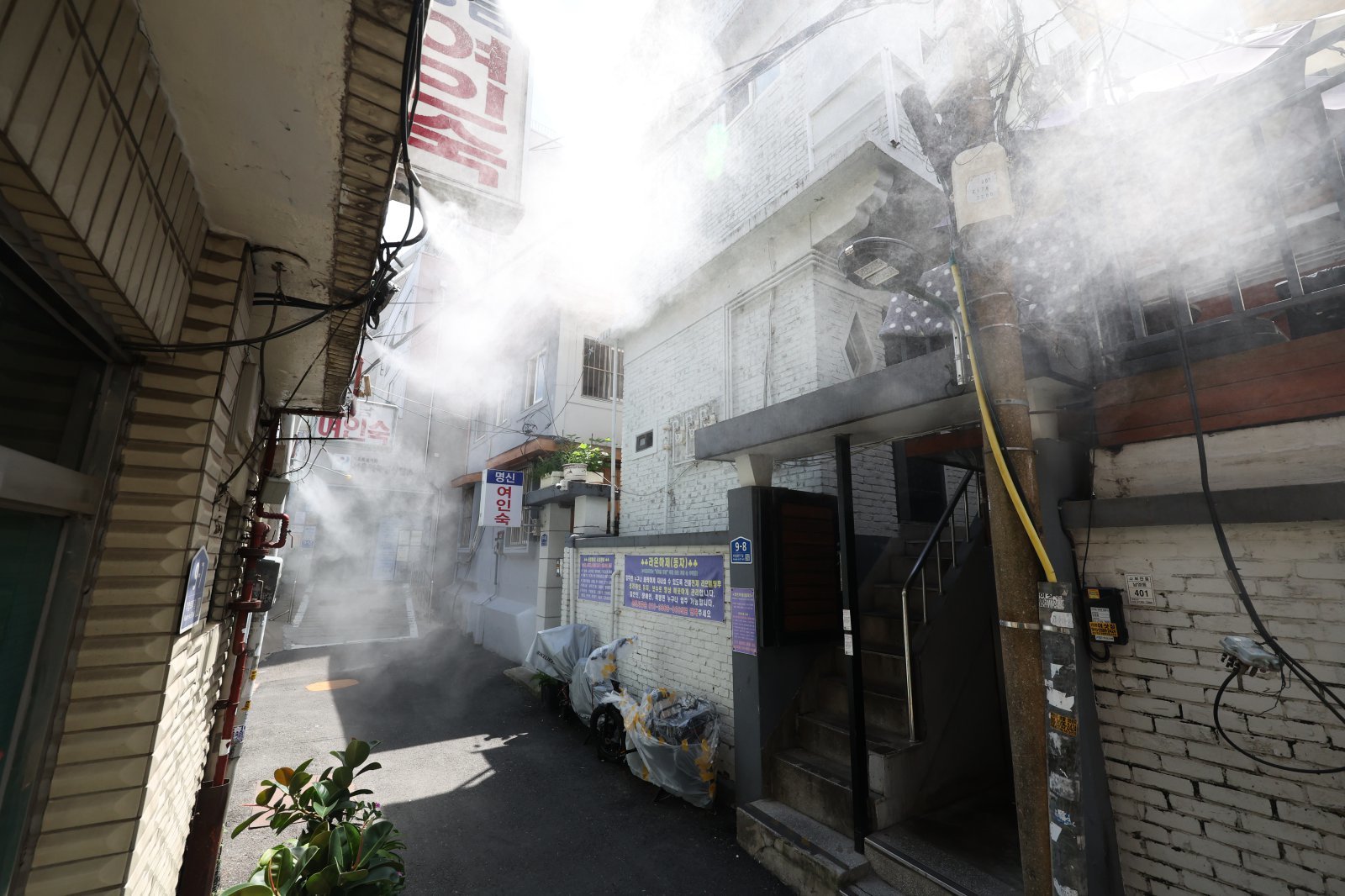 Record Heatwave Drives Surge in Indoor Consumption in South Korea