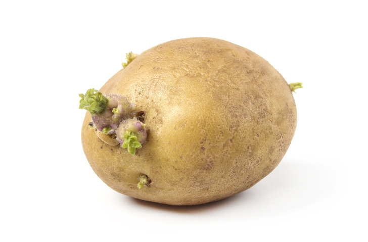 Sprouted Potatoes: When Are They Safe to Eat?