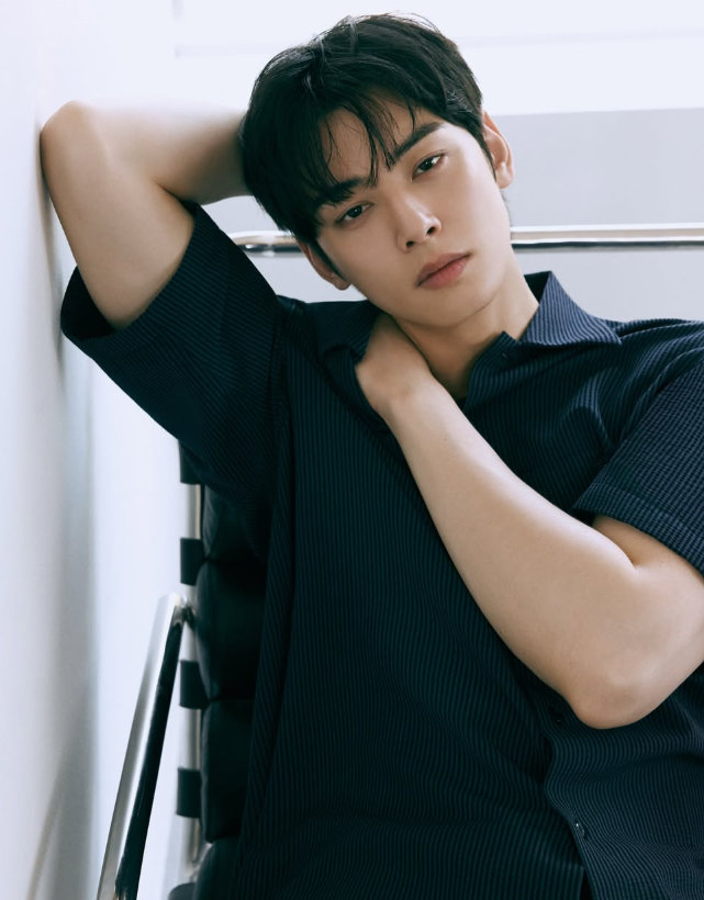 Cha Eun-woo files tax appeal after paying 13 billion won in back taxes