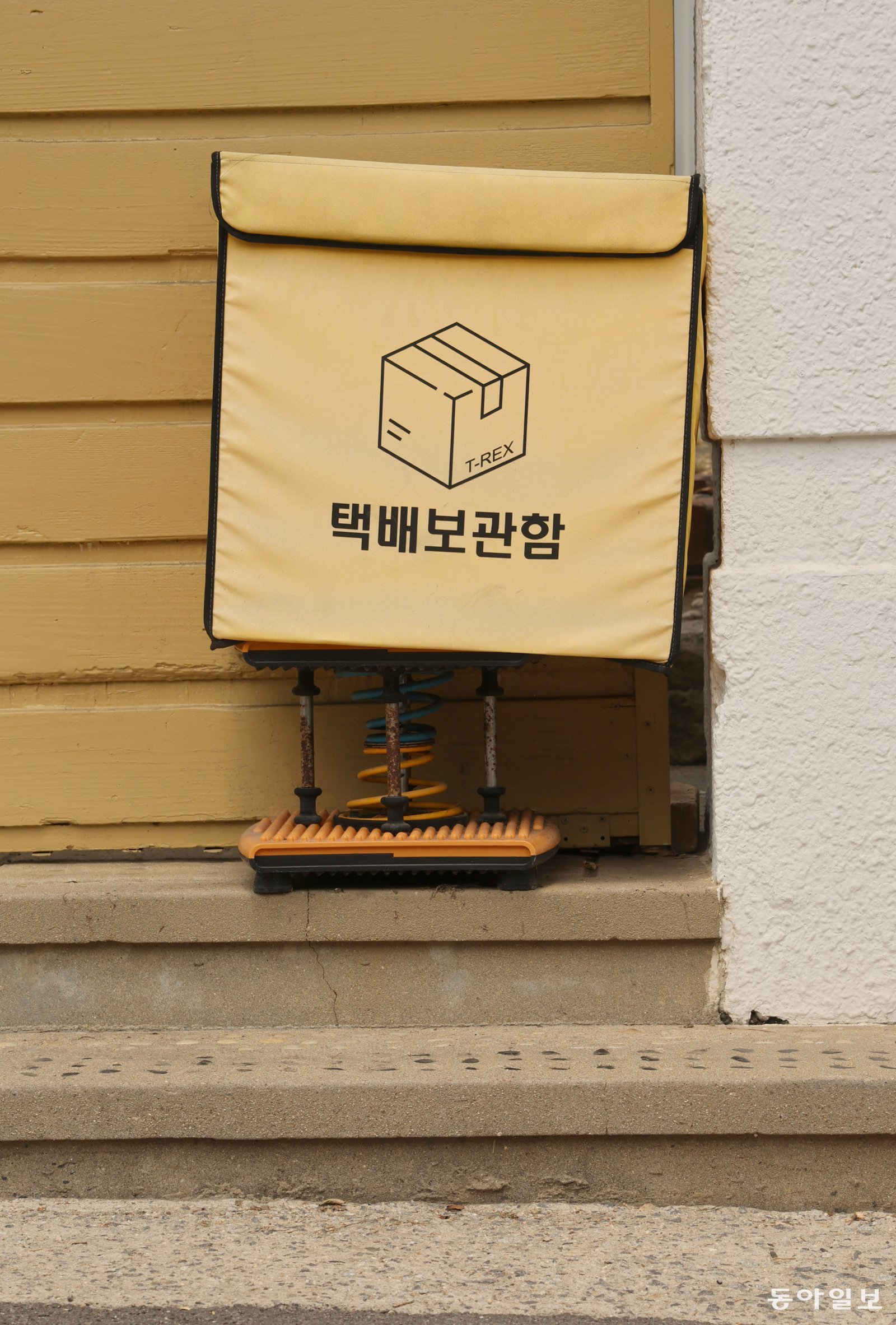 [고양이 눈]운동기구 활용법