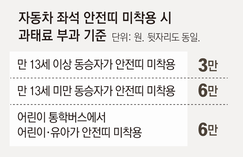 뒷좌석 안전띠 착용률 8.3%P 급락… 안 매면 치사율 3.7배