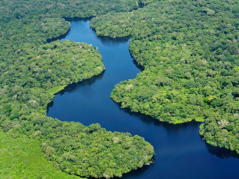 Ancient Societies of Up to 3 Million People Existed in Amazon 2,500 Years Ago