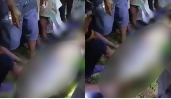 “집에 안 오더니“…7m 비단뱀 뱃속서 발견된 40대 농부