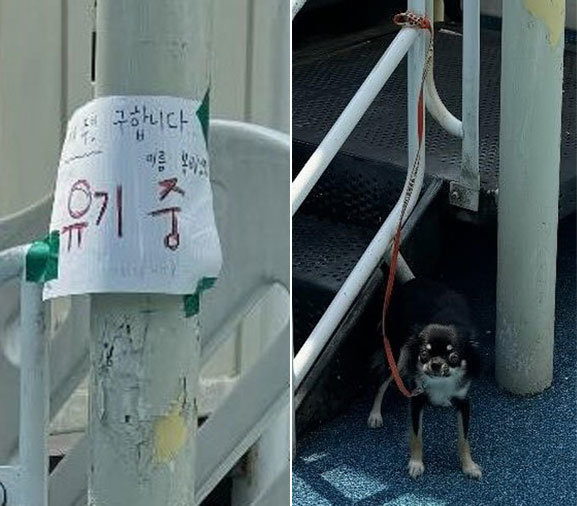 “새 주인 구합니다” 메모 남기고…36도 폭염에 강아지 버린 30대 여성