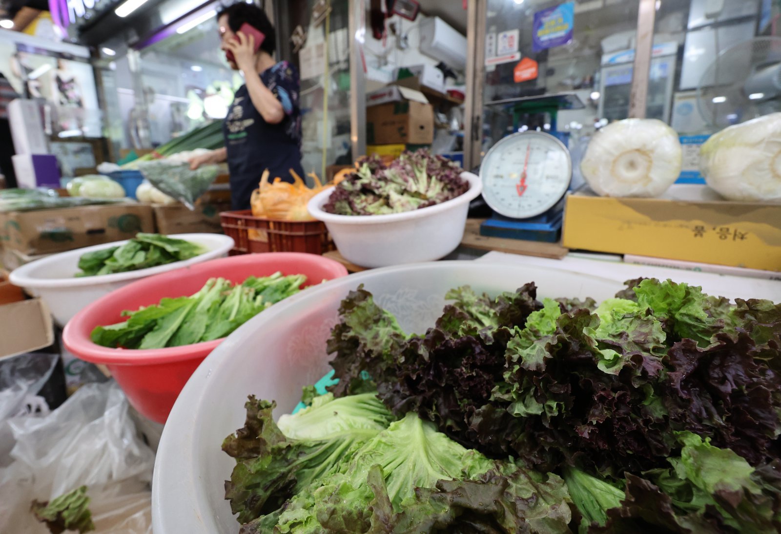 Climateflation's impact: South Korea faces soaring vegetable prices ahead of Chuseok