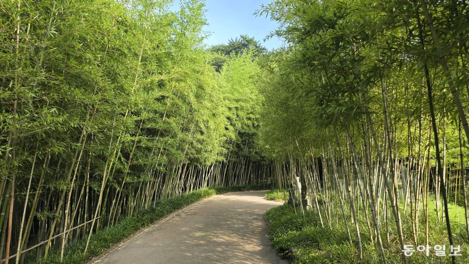 Everland Seeks Tranquility in Its Gardens