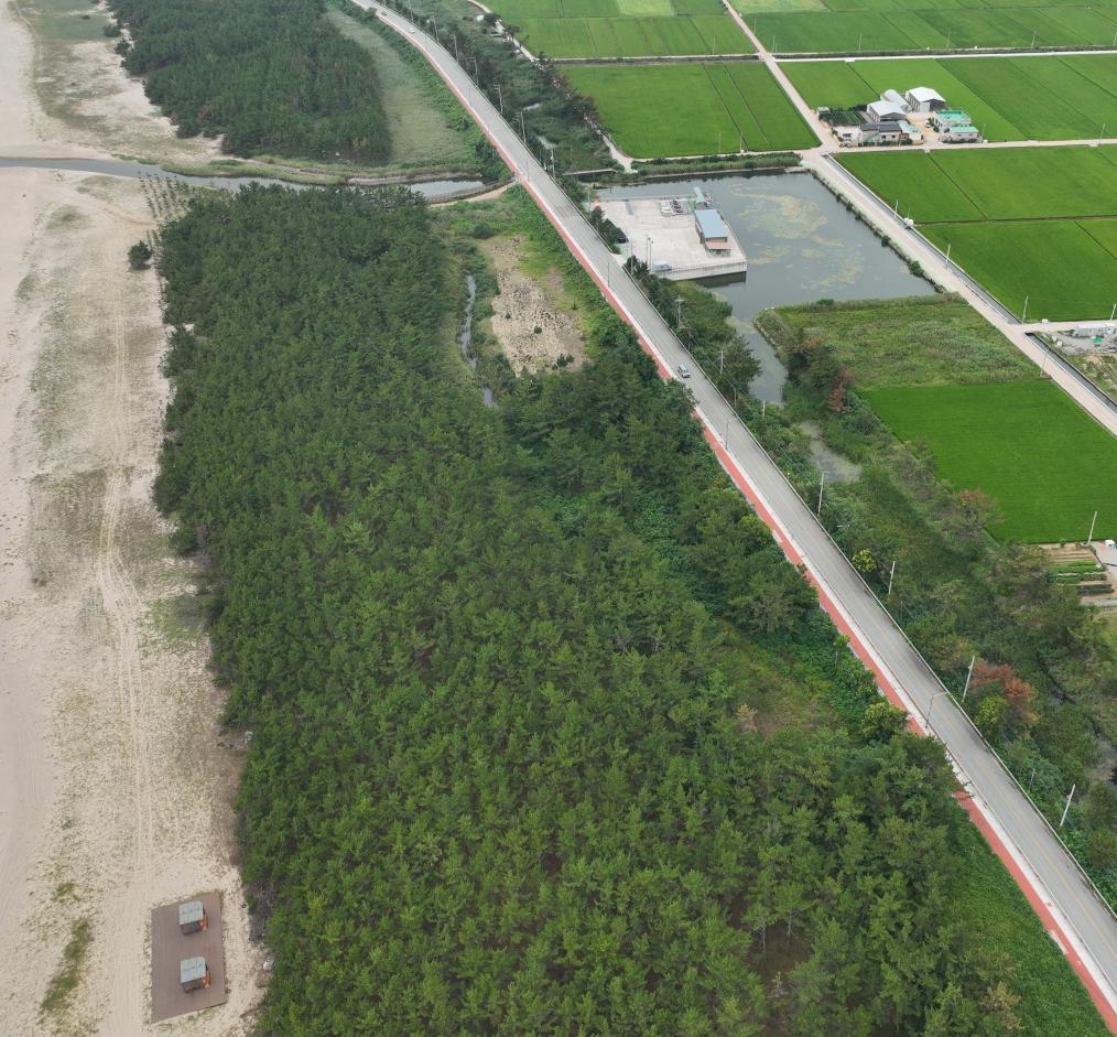 소나무 재선충병 확산 막을 ‘400km 방제 장벽’ 만든다