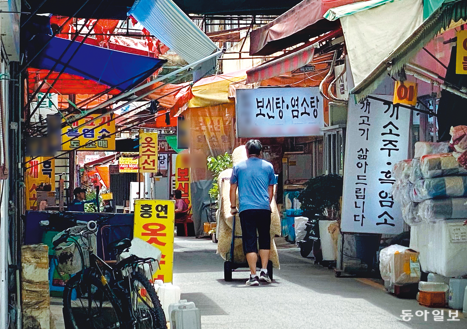 마지막 복날 앞둔 개고기 골목… “강제로 쫓겨날 때까지 판다”
