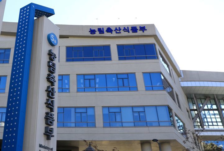개농장 82% 문 닫아… 남은 식용견 2만 마리 어디로