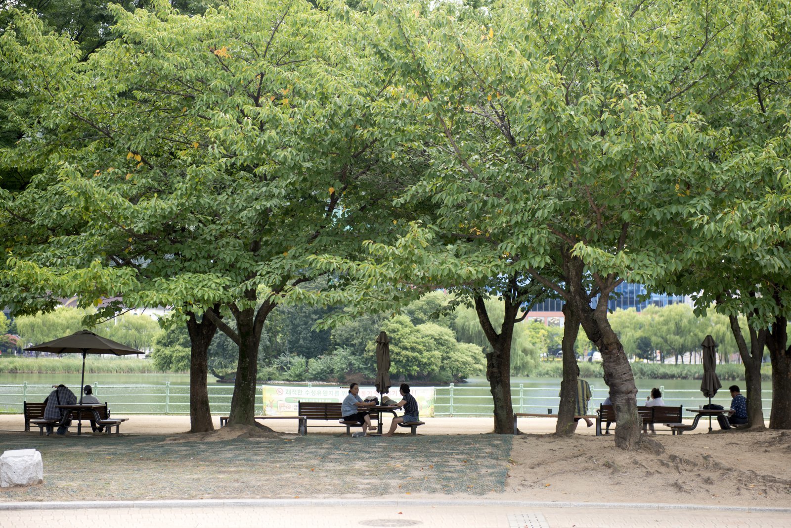 Daegu and Gyeongbuk swelter under 37.9C heat, but mornings offer cool relief