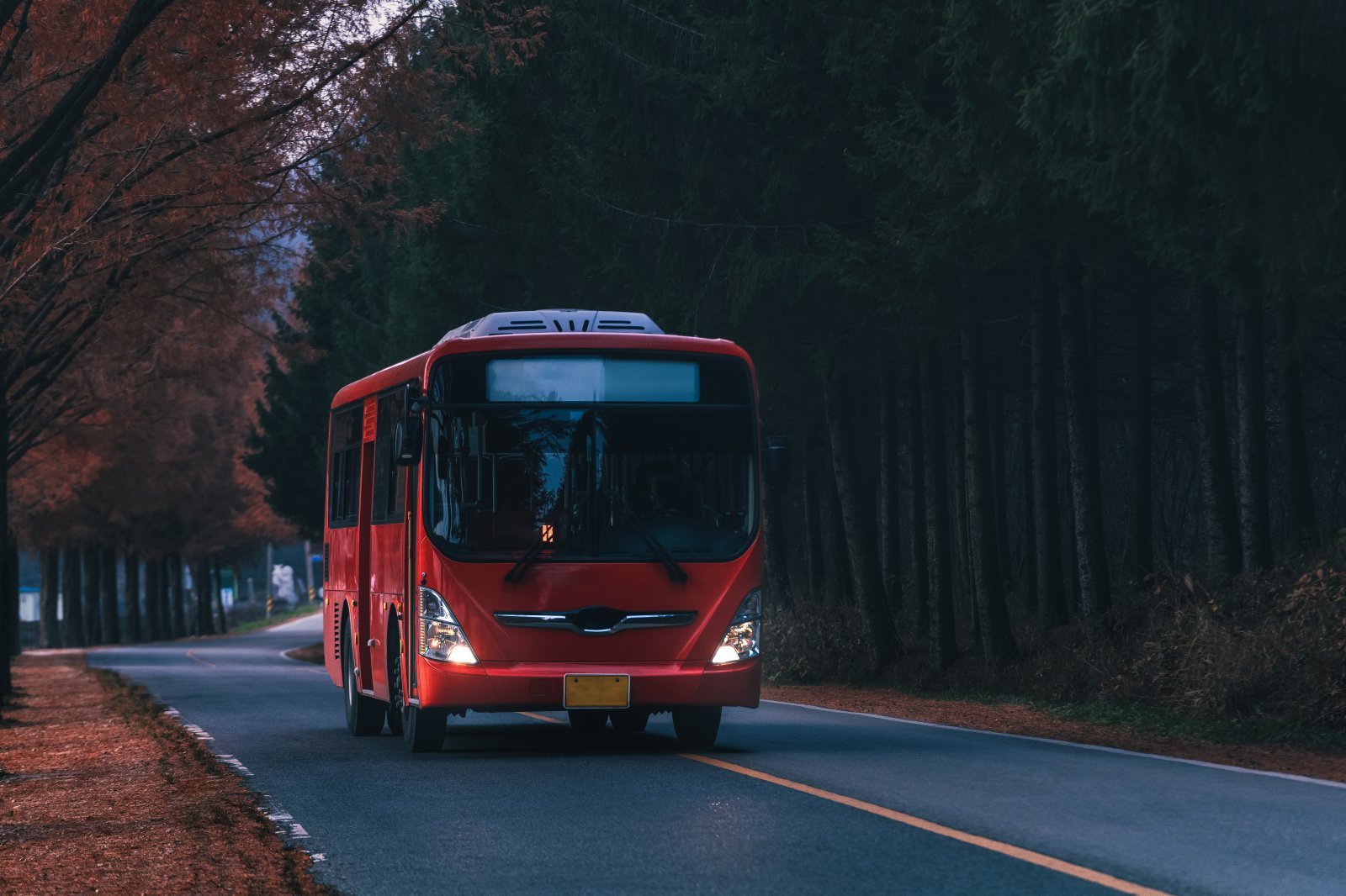 폴란드 순례객 버스 헝가리서 전복…12명 사망·10명 중상