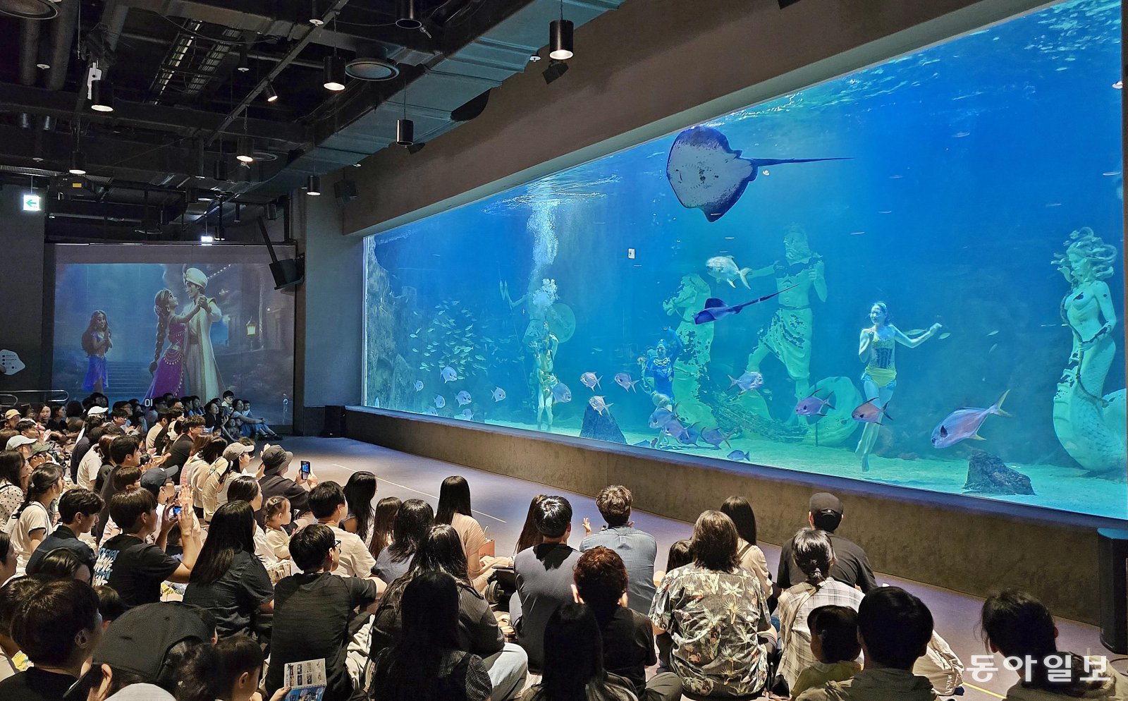 가오리와 함께 춤을