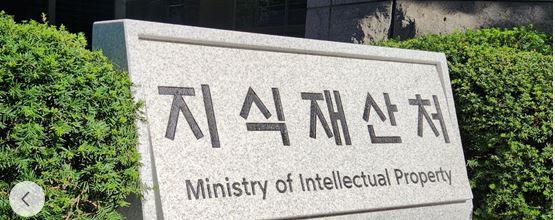 한국은 ‘가발 강국’… 일본 이어 특허등록건수 세계 2위