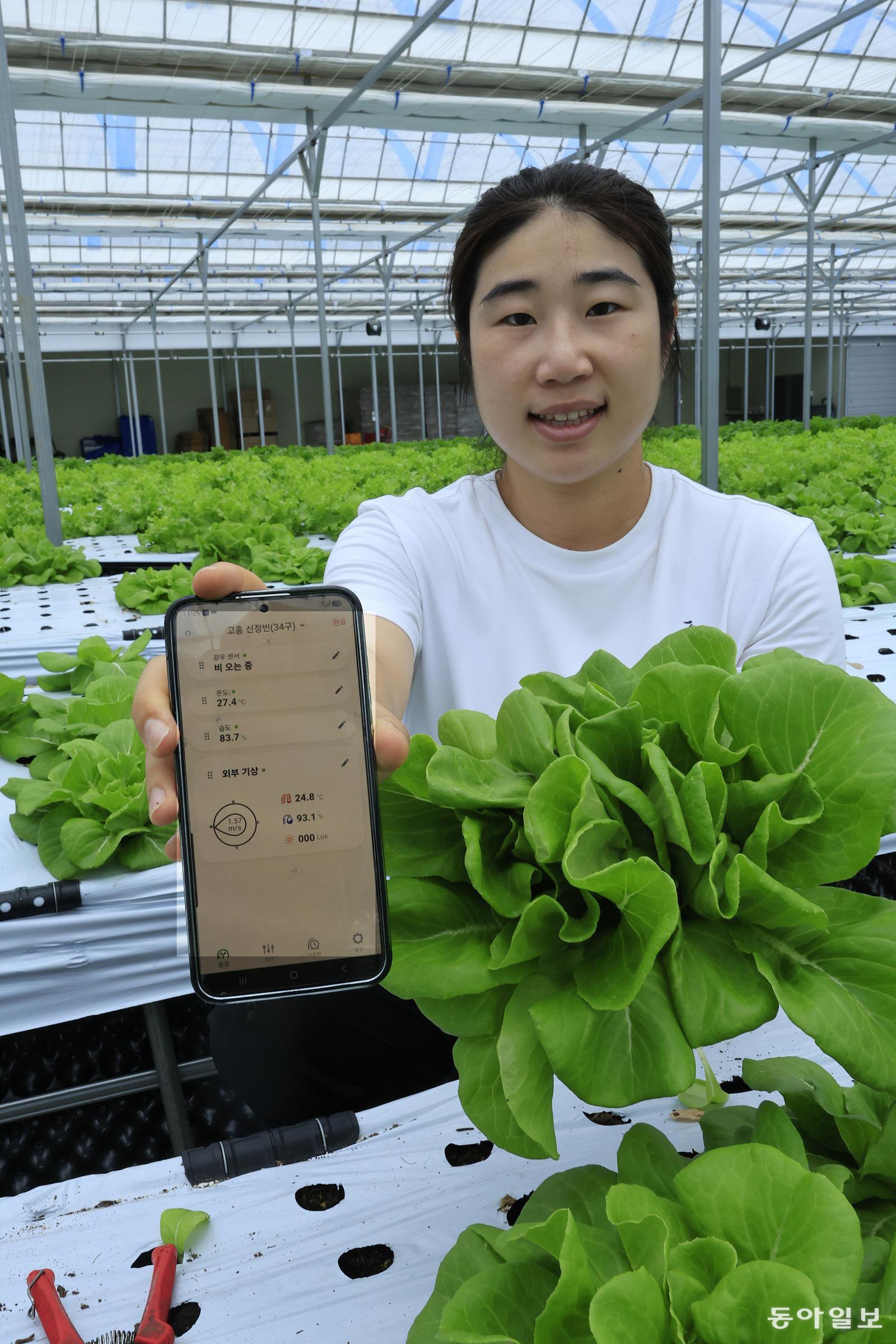 스마트팜에서 천천히 키우는 채소…29세 청년 농부의 ‘느린 농업’