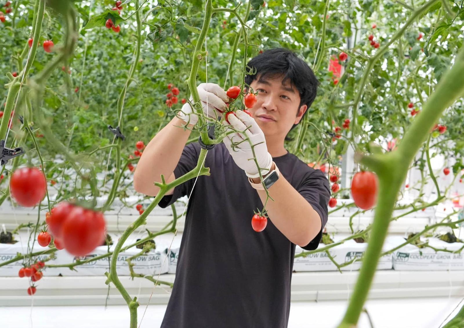 “청년농에 스마트팜 빌려드려요” 초기비용 부담 줄여 도전 가능