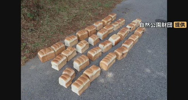 Mass bread dumping near Japanese park prompts investigation