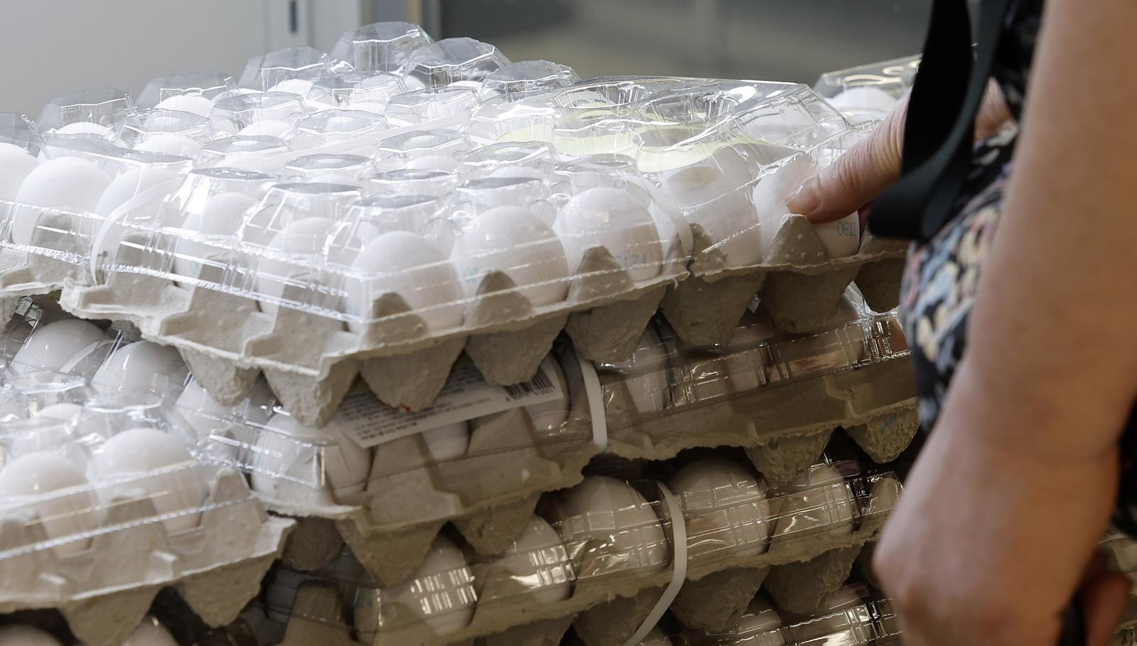 South Korea Plans Permanent Overseas Egg Supply Chain to Combat AI Shortages