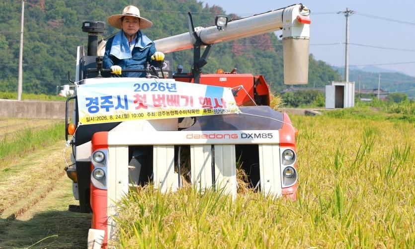 모내기 4개월 만에 벼 수확
