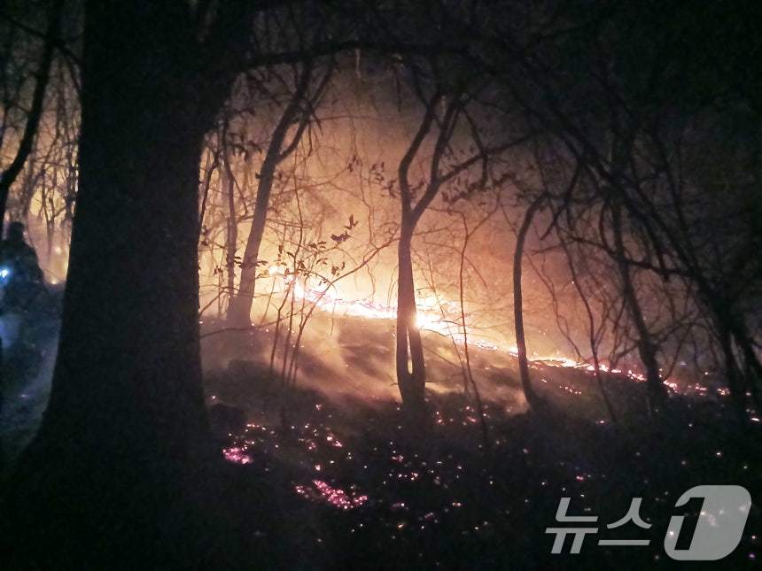 함양 대형산불 낸 ‘봉대산 불다람쥐’ 60대에 징역 10년 구형