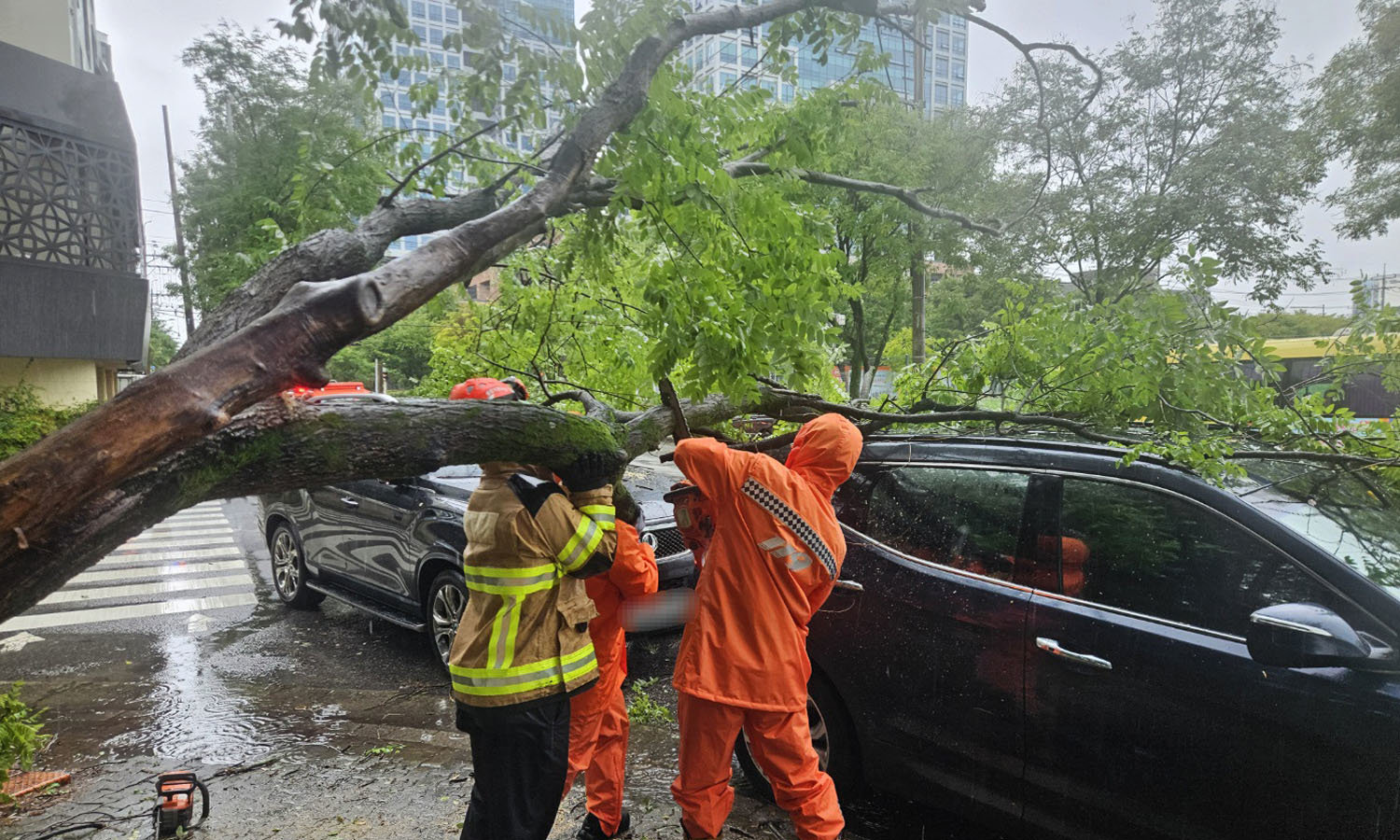 Heavy Rains Cause Damage Across South Korea's Jeonnam and Gwangju Regions