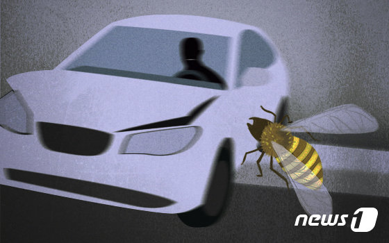Driver crashes into utility pole after bee sting as hiker is stung dozens of times