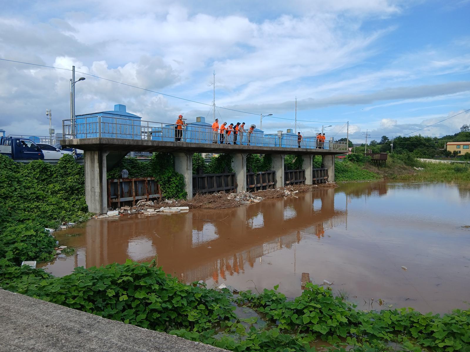 Missing Man in His 60s Found Dead in Stream After Heavy Rain in Gochang