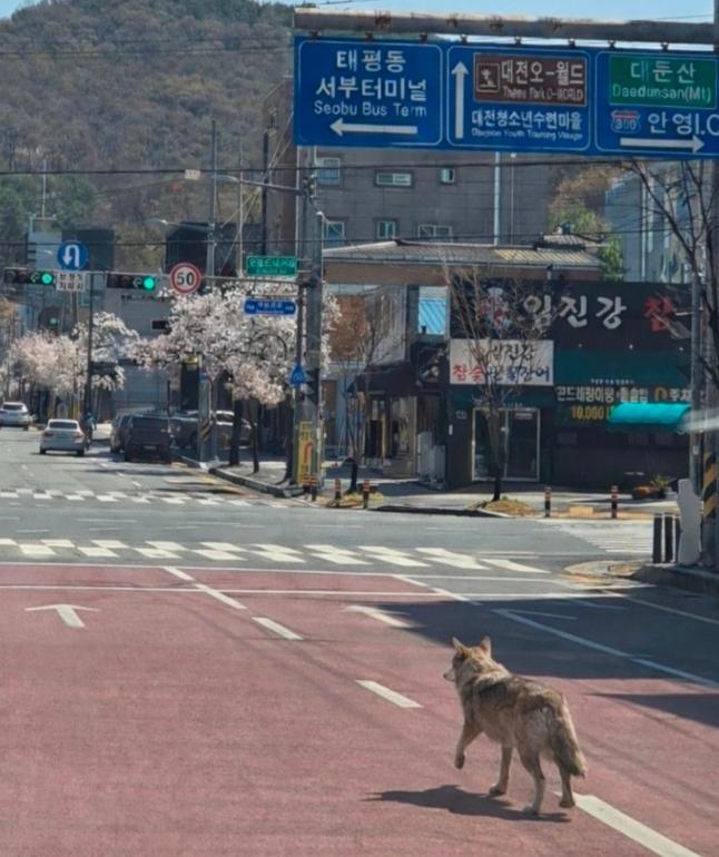 [신문과 놀자!/디지털 세상과 정보]AI로 ‘딸깍’해 만든 글-영상, ‘디지털 지문’으로 구분