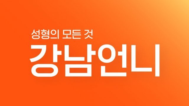 시술명·병원·등록 사진까지 털렸다…‘강남언니’ 21만명 개인정보 유출
