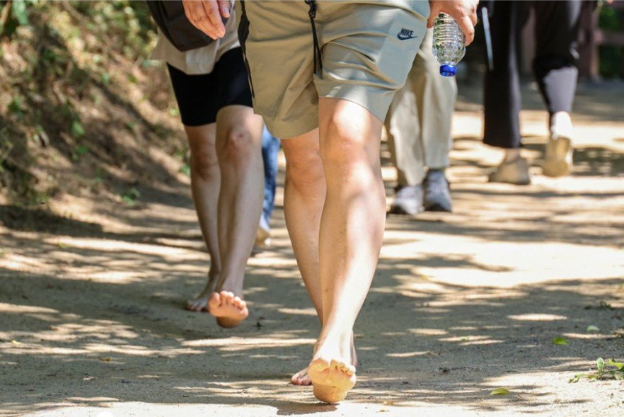 걷고 배우고… 장성 22곳서 ‘치매 릴레이 걷기’
