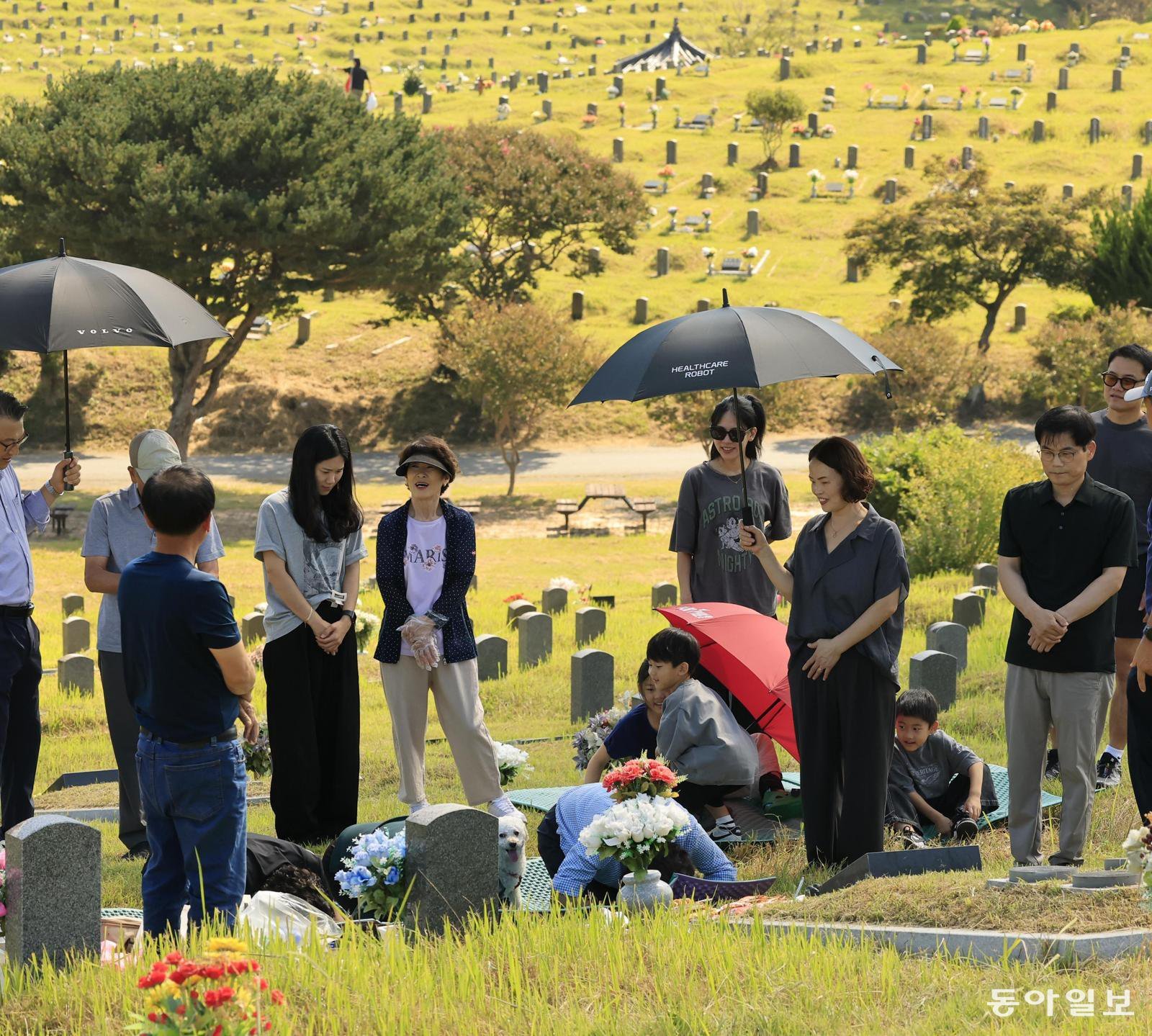 추석 앞두고 성묘… 산림청, 산속 도로 ‘임도’ 한시 개방