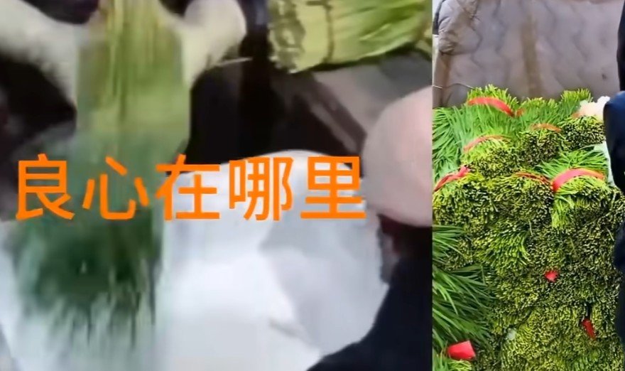 “약품 목욕에 인공 가리비까지”…中 현지서도 분노한 ‘식재료 유해성’ 실태