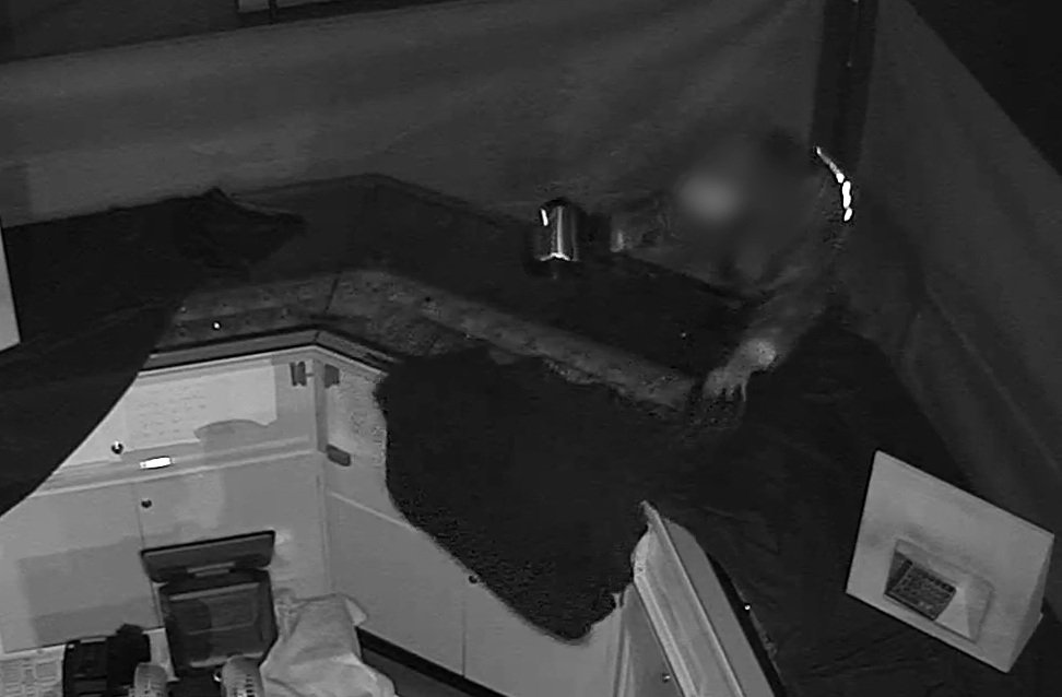 커피포트로 진열장 깨고 5억 상당 금품 훔친 20대 체포