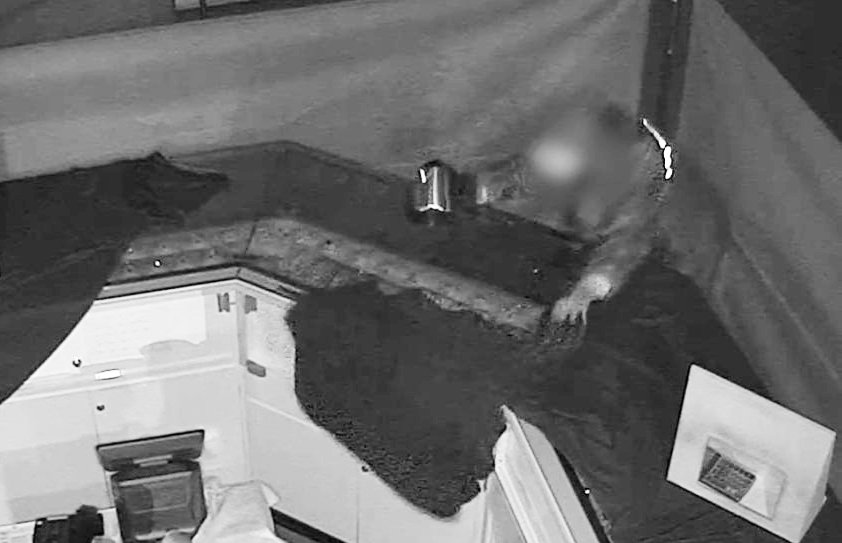 우비 입고 침입, 90초만에 5억 금팔찌 쓸어갔다