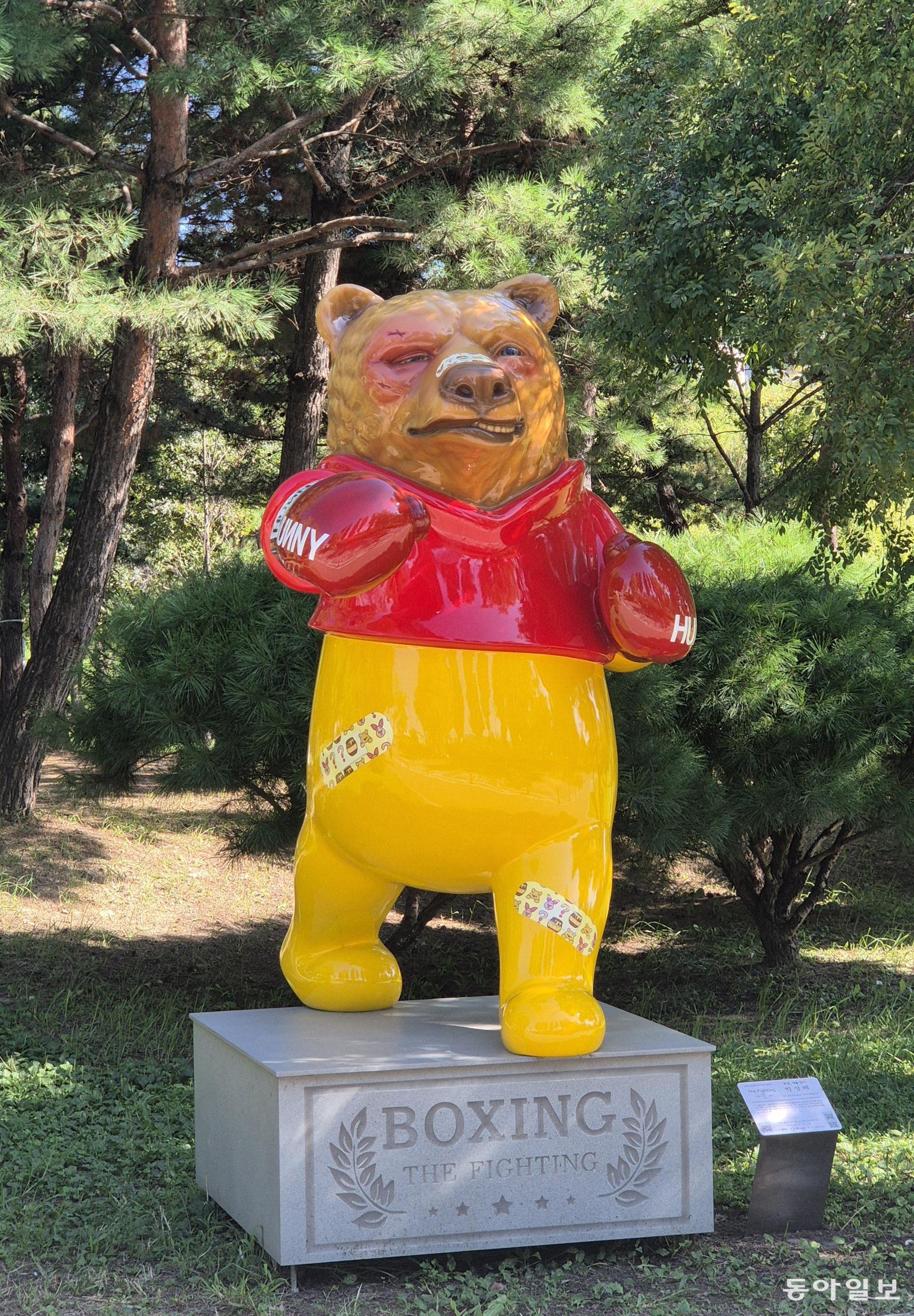 [고양이 눈]챔피언을 꿈꾸며