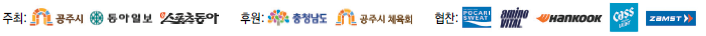 금강 들판 달리며 가을을 연다… 1만2000명 러너들의 질주