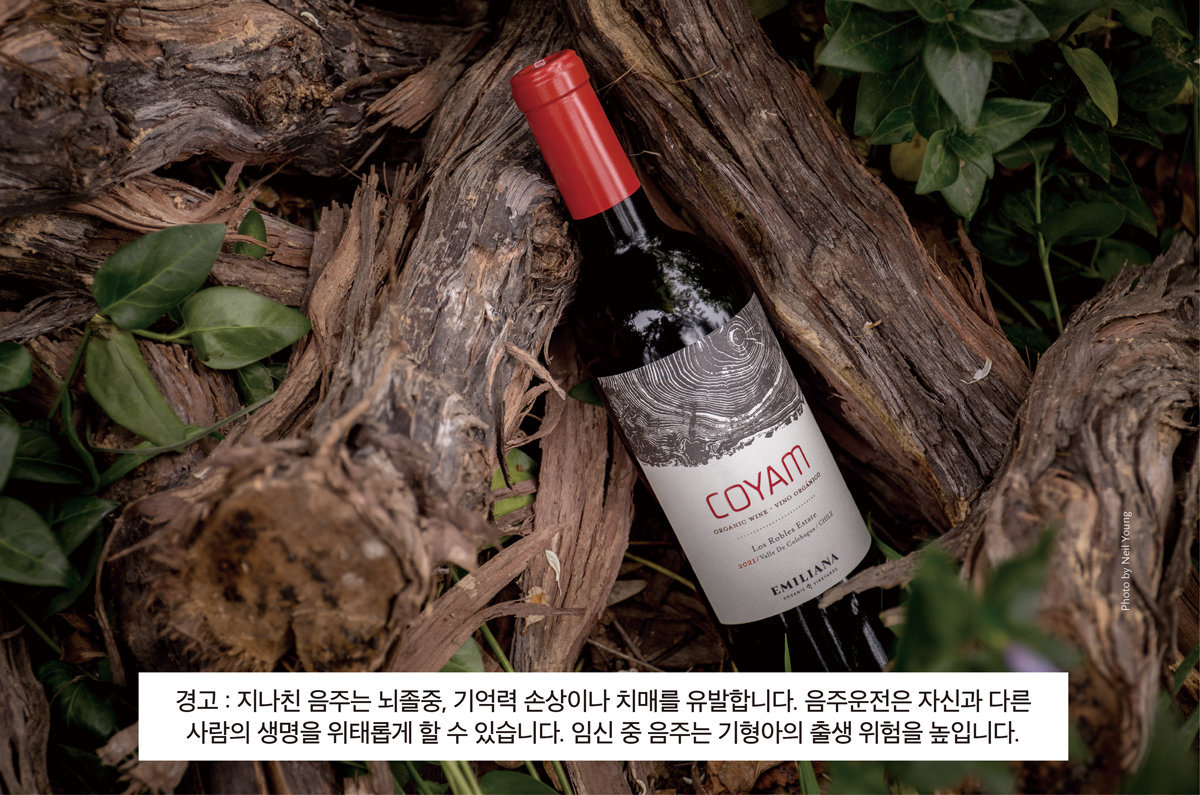 “유기농이 곧 품질”… 세계 와인시장 기준 바꾼 칠레 ‘에밀리아나’