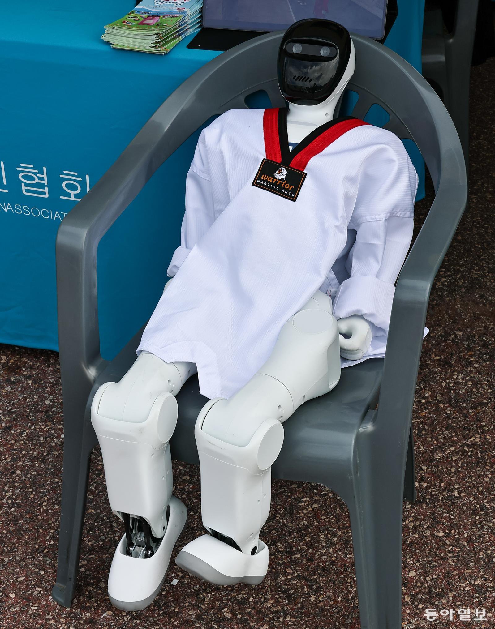 [고양이 눈]휴식