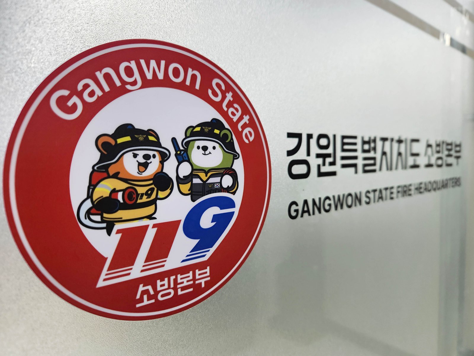구급대원 얼굴 때리고 4개월간 출석 불응…50대 체포