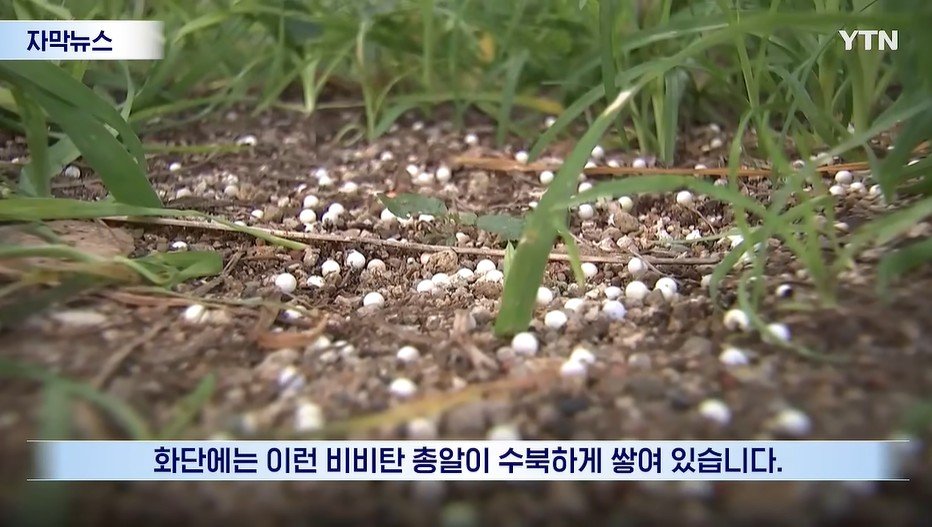 밤마다 아파트로 비비탄 ‘우수수’…“재미삼아 쐈다”는 40대 1년 반 만에 검거