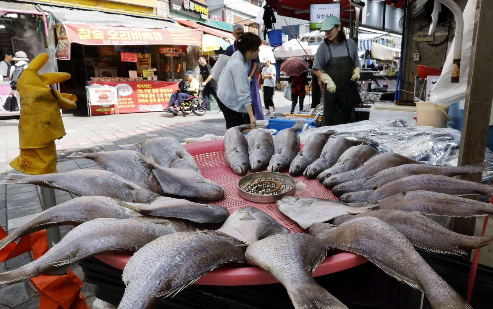 음식냄새 다투다 칼부림까지…명절 가정폭력 신고 하루 1000건