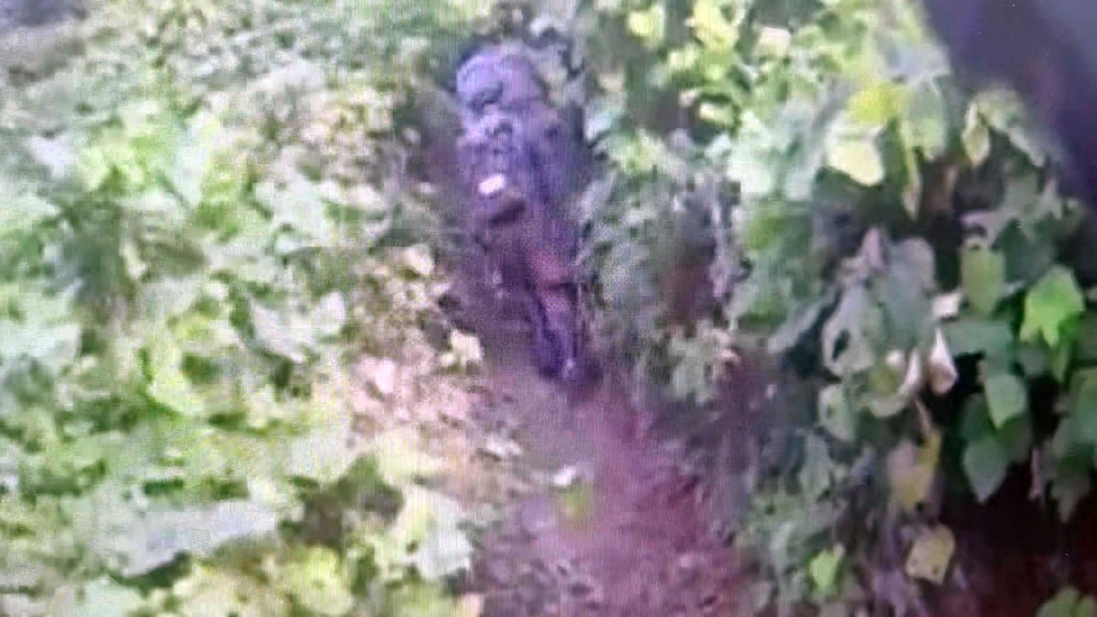 [속보]軍·유엔사, 사고 엿새만에 DMZ 폭발현장 조사…지뢰 정밀탐색