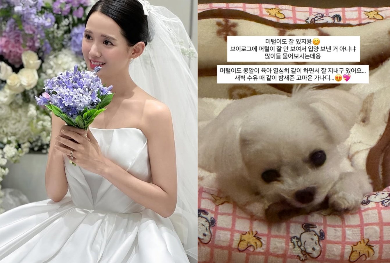 남보라, 반려견 파양설 해명 “잘 있어요”